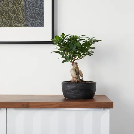 Maria Und Joseph Innsbruck