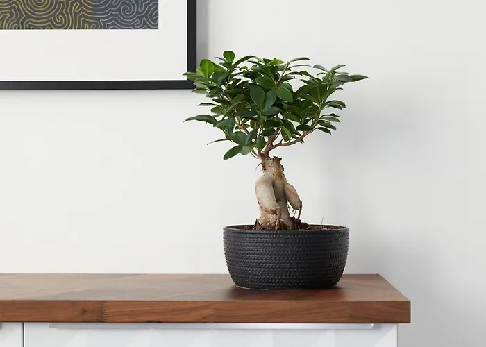 Maria Und Joseph Инсбрук